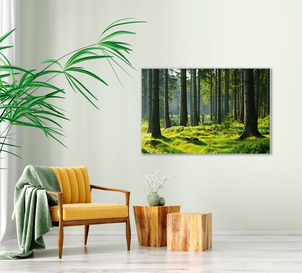 Picture & Frame Hochwald