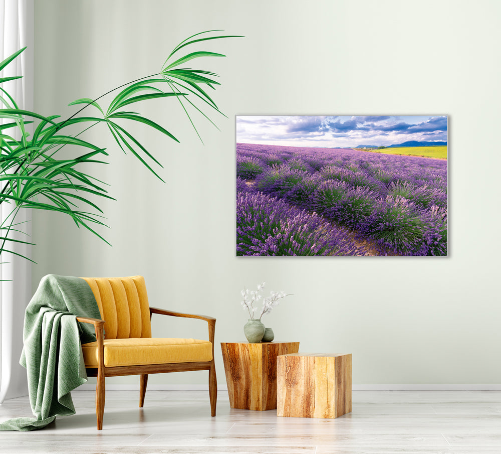 Picture & Frame Lavender Field 7