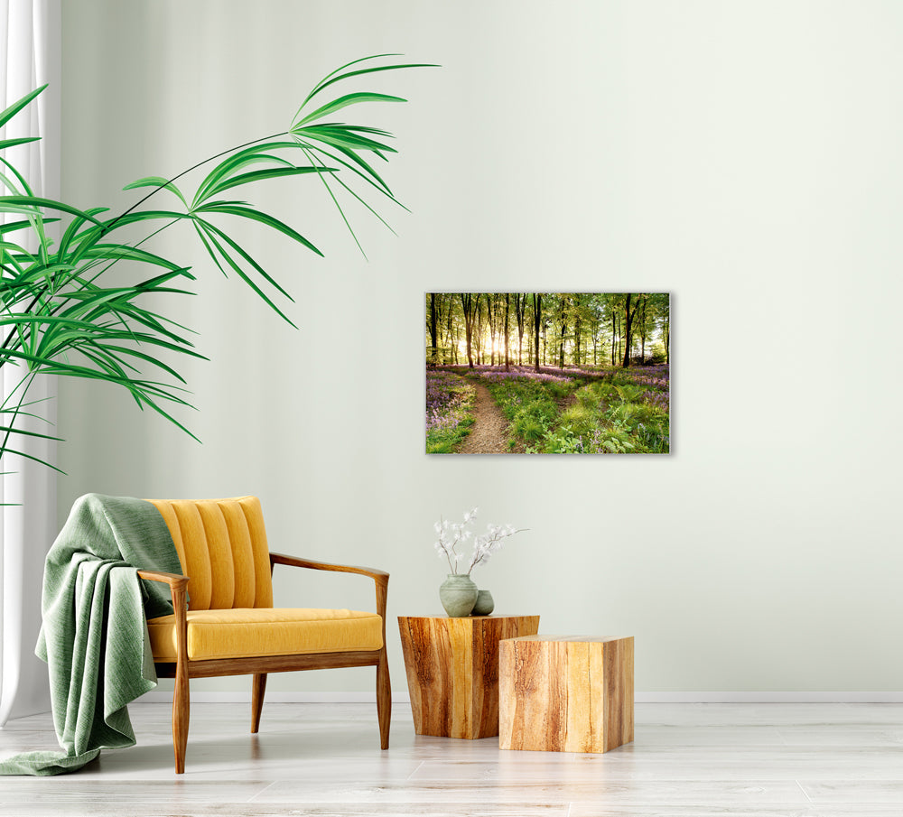 Picture & Frame Forest Path