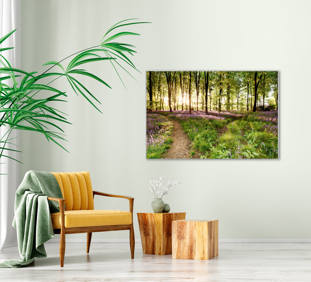Picture & Frame Forest Path