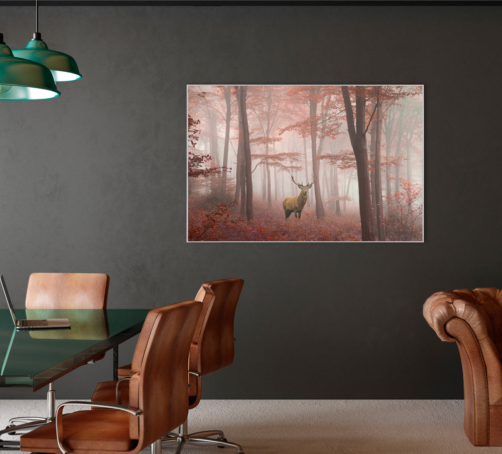 Picture & Frame Deer in the Autumn Forest