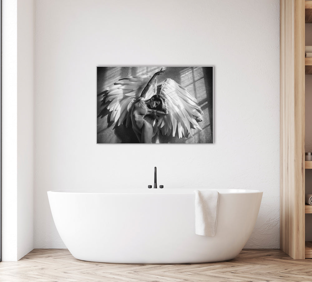 Picture & Frame Dancer with Wings