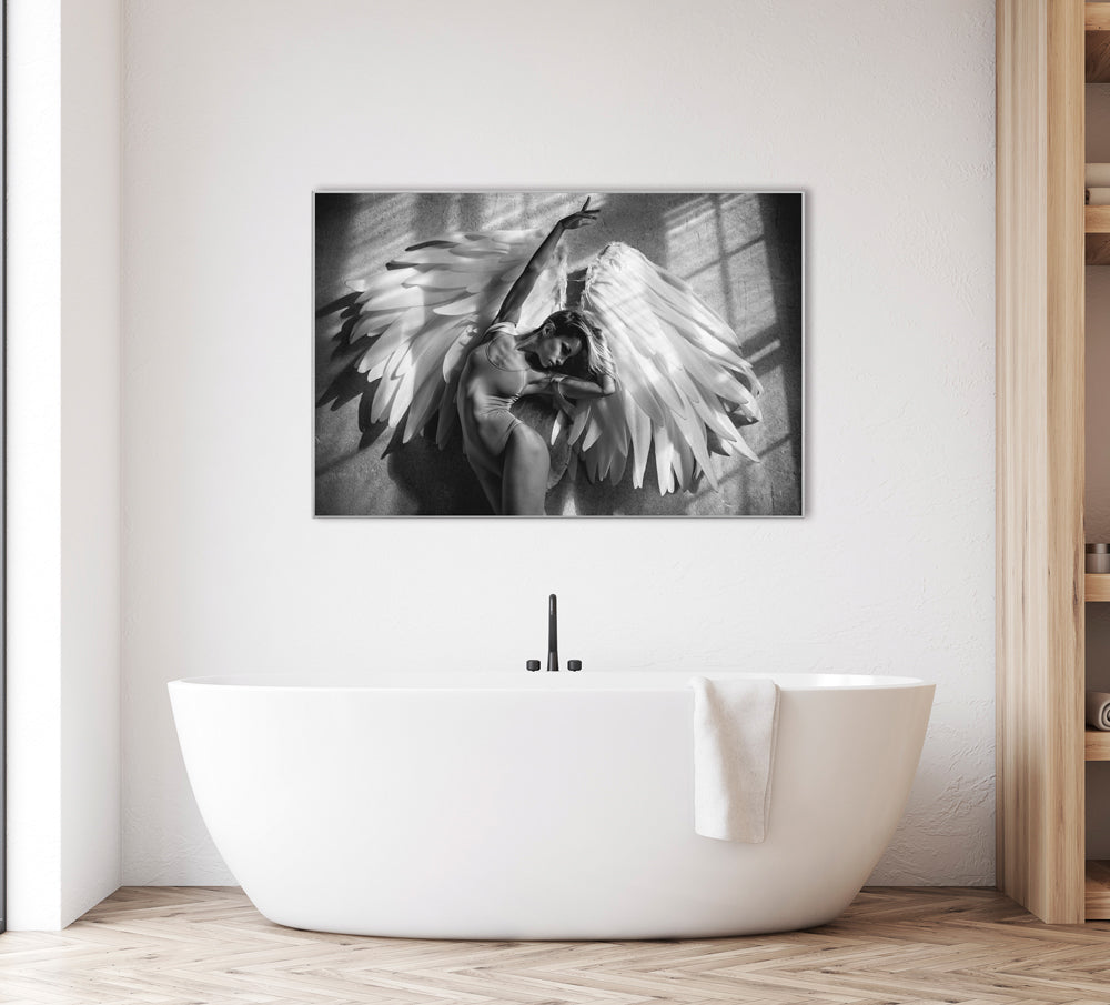 Picture & Frame Dancer with Wings