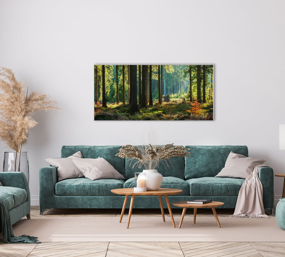 Bild & Rahmen Herbstwald