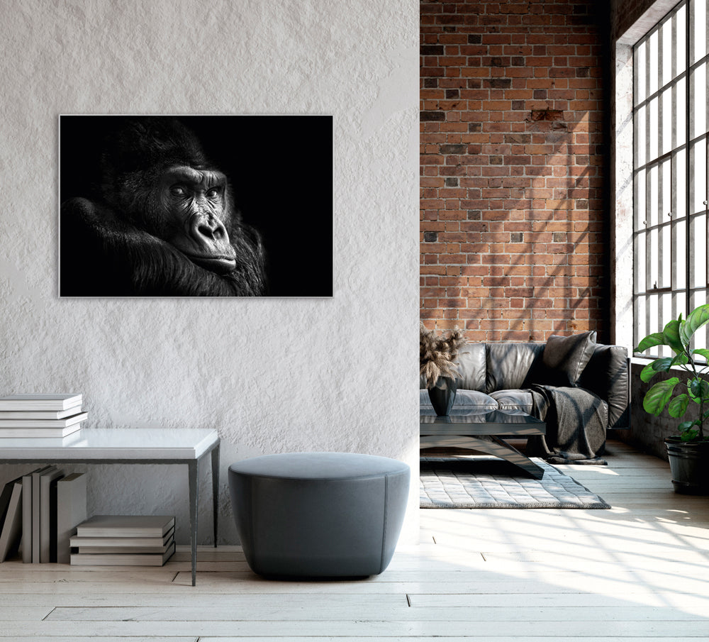 Picture & Frame Gorilla