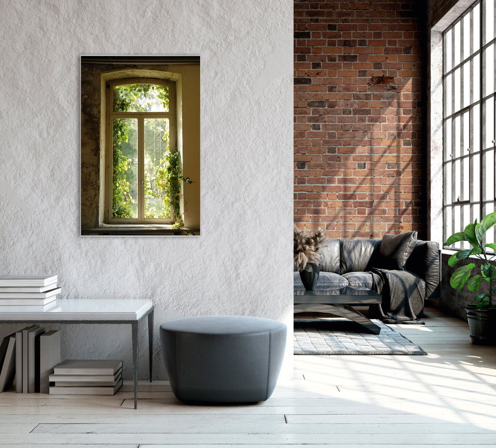 Fenêtre avec cadre et tableau envahie par les feuilles