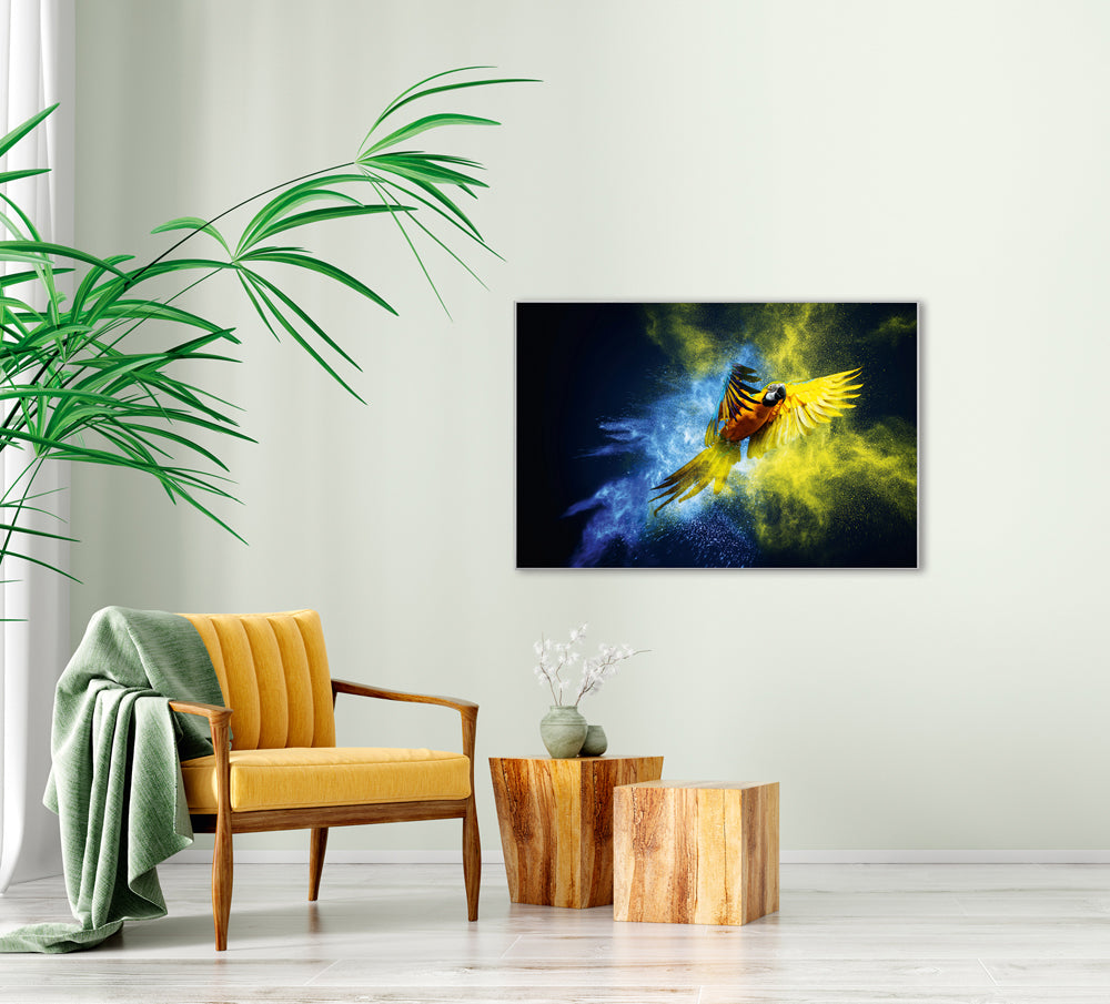 Picture & frame parrot in blue and yellow