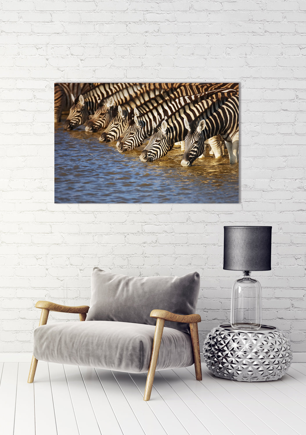 Acrylglasbild Zebras am Fluß