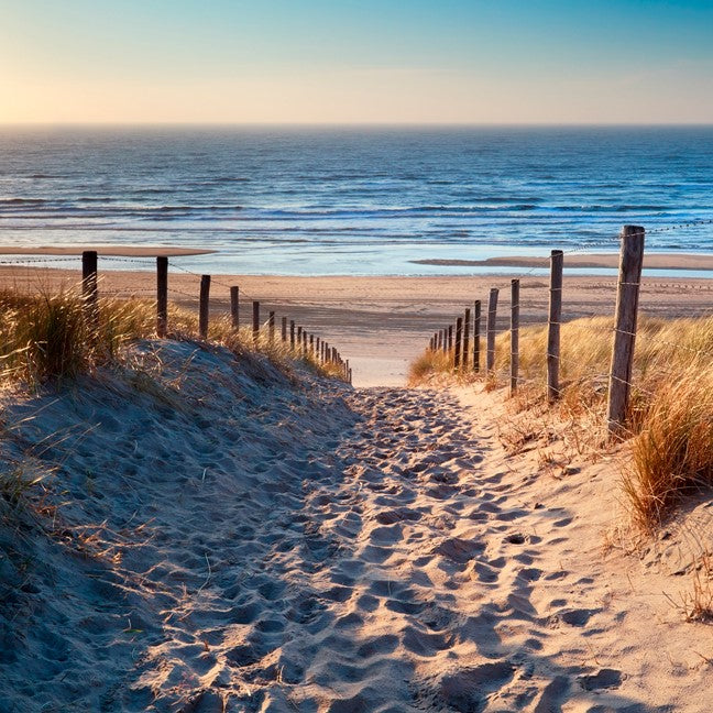 Tableau en verre acrylique Chemin de sable vers la mer
