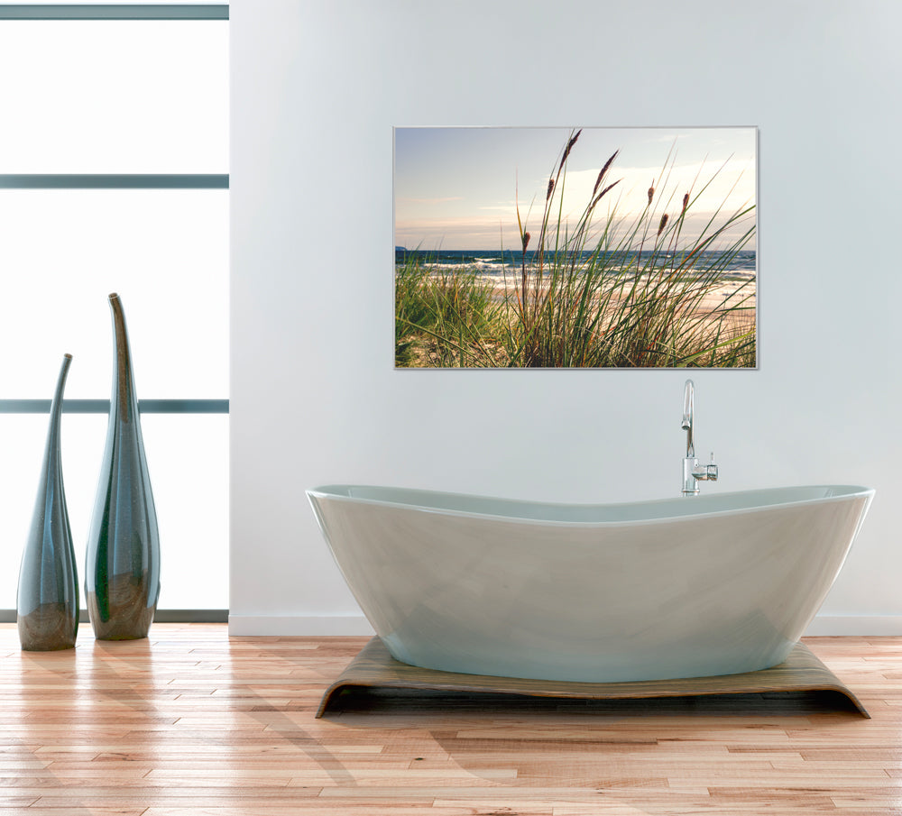 acrylic glass picture seaweed