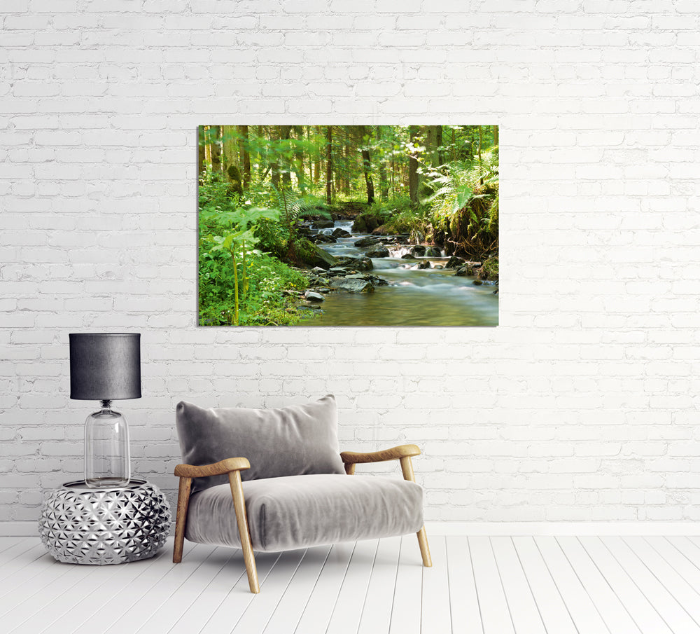 Acrylglasbild Flußlauf im Wald 1