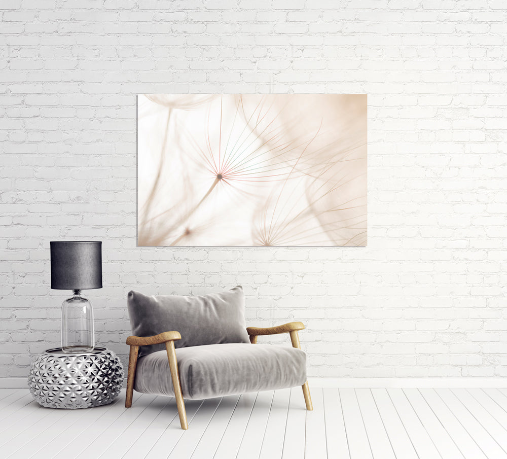 Acrylglasbild Pusteblume 2