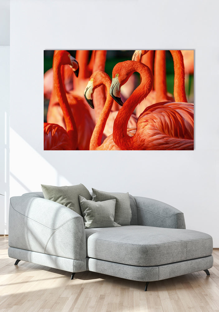 Acrylglasbild Flamingos