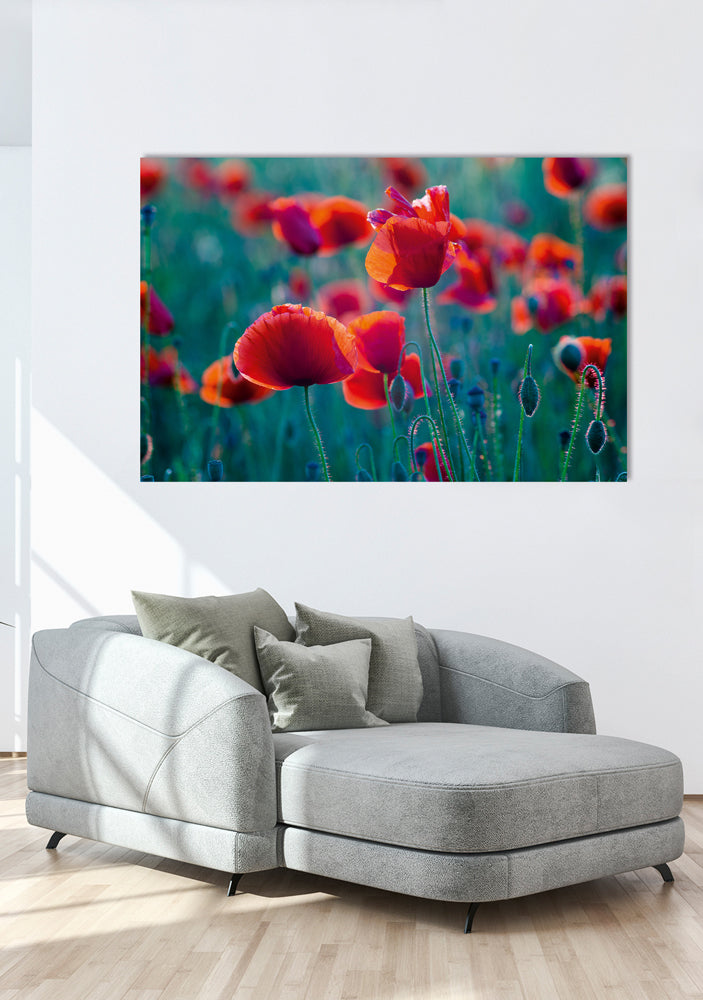 tableau en verre acrylique champ de coquelicots