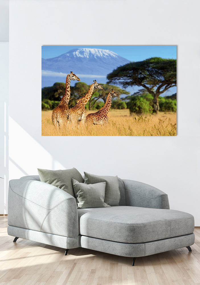 Acrylglasbild Giraffen in der Savanne