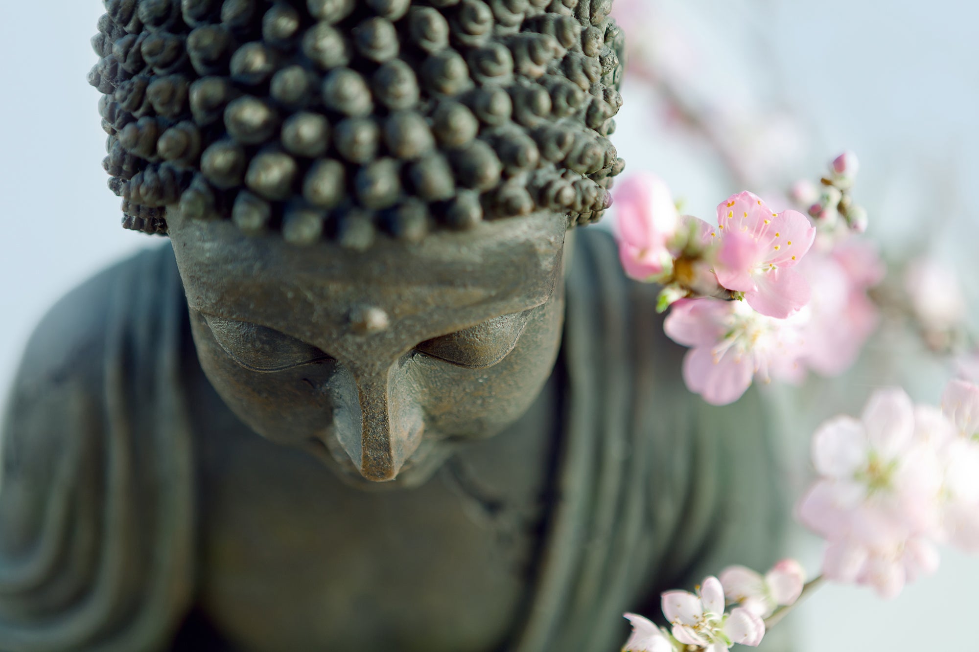 Acrylglasbild Buddha