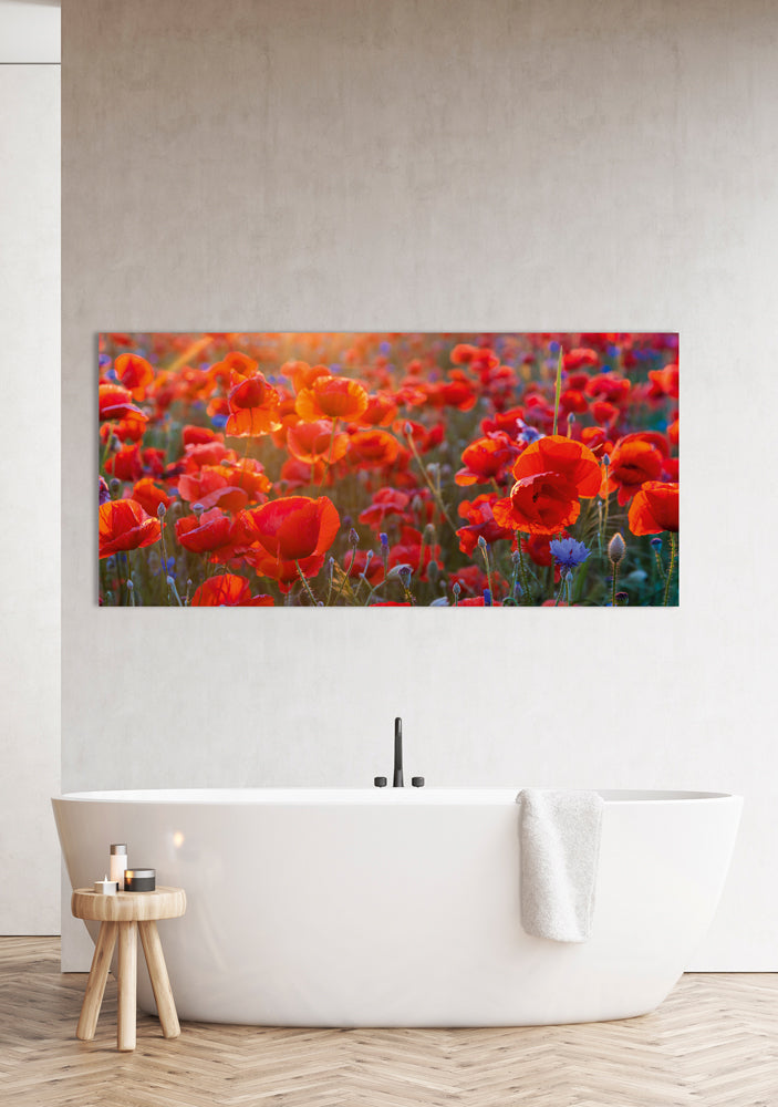Acrylic glass picture Poppies 6