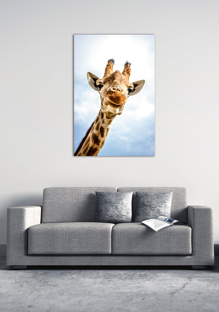 Acrylglasbild Lächelnde Giraffe