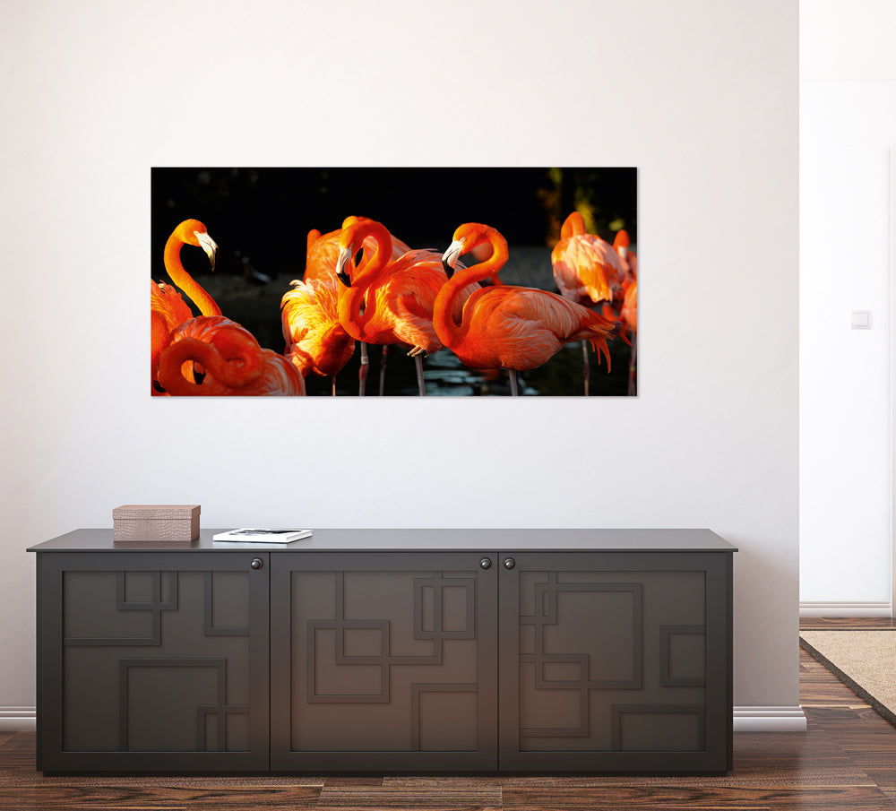 tableau en verre acrylique Flamants roses