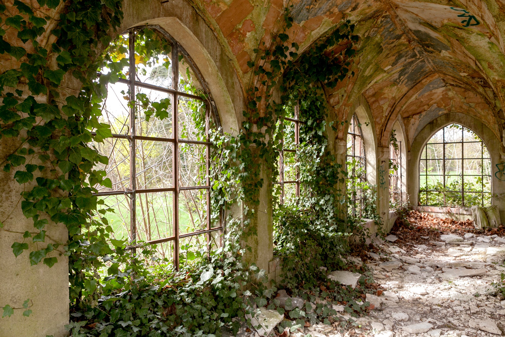 Tableau en verre acrylique Couloir abandonné envahi par la végétation