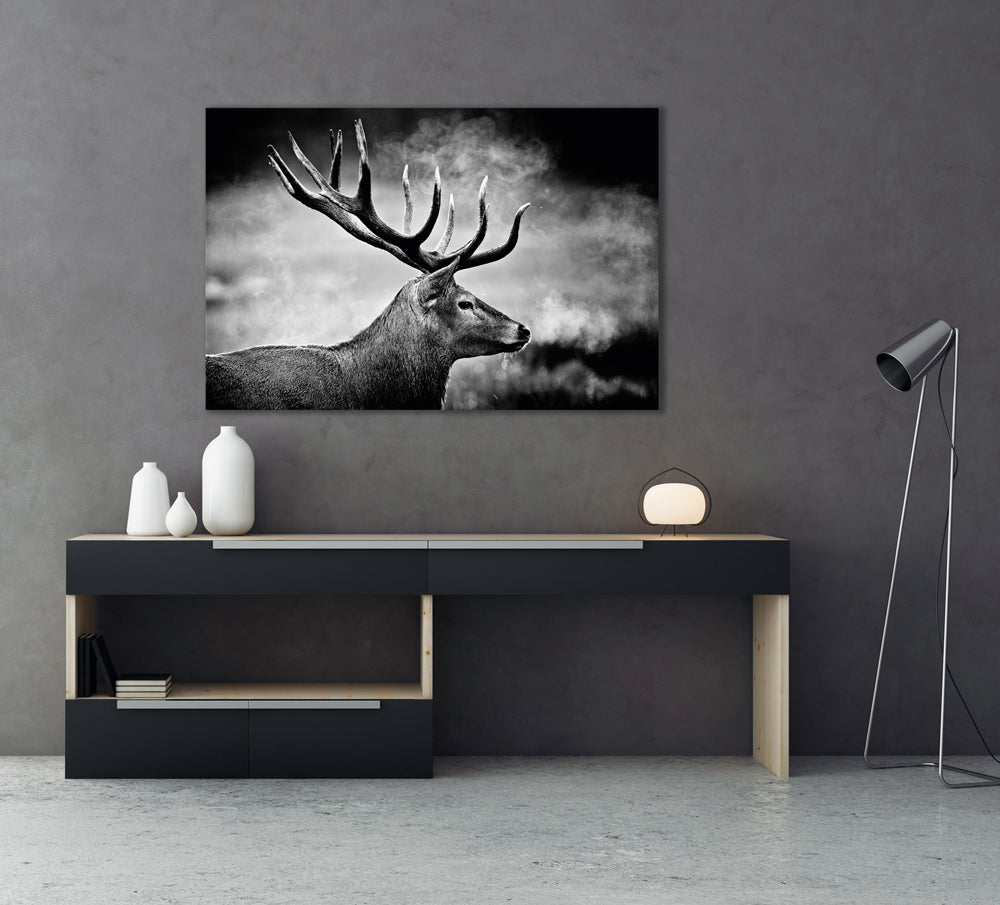 Acrylglasbild Hirsch in schwarz weiß