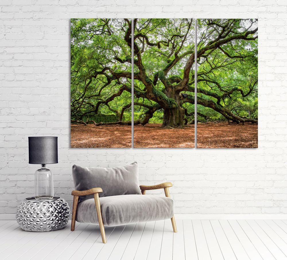 Acrylglasbild Verzweigter Baum