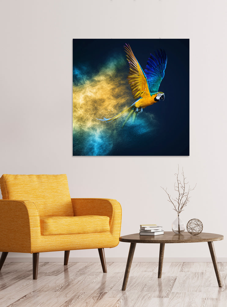 Acrylglasbild Fliegender Papagei