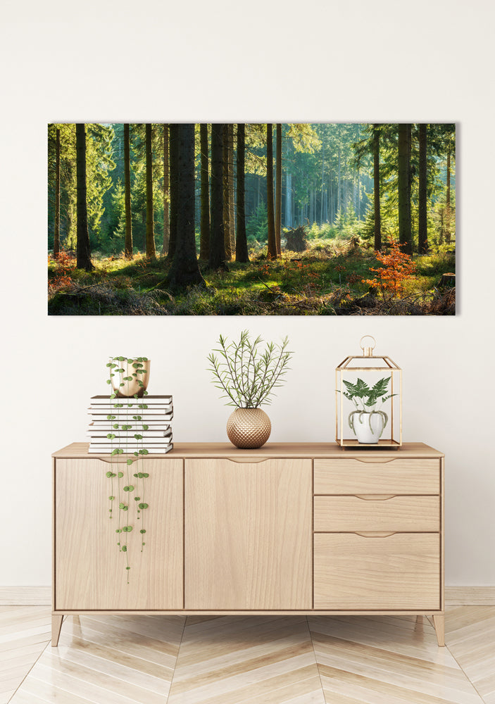 Acrylglasbild Herbstwald