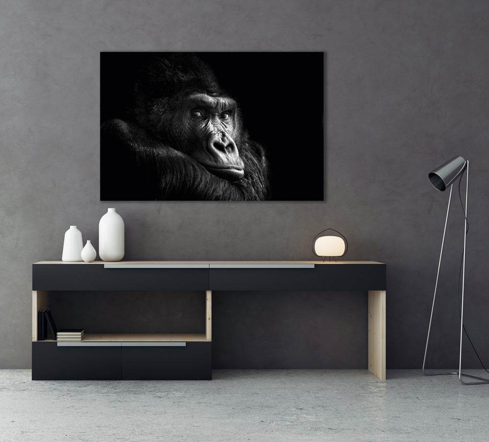 Acrylglasbild Gorilla