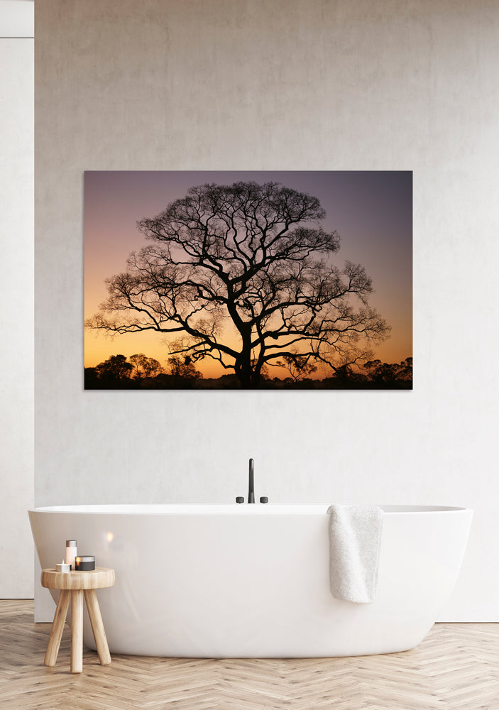 Acrylglasbild Gigantischer Baum im Sonnenuntergang