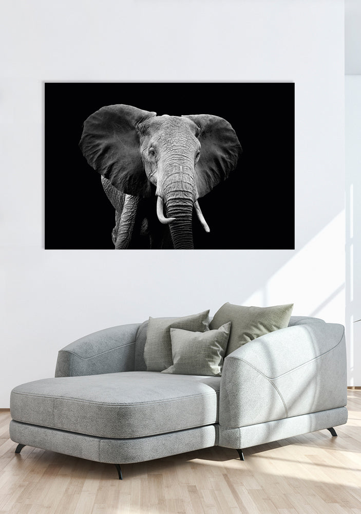 Acrylglasbild Majestätischer Elefant