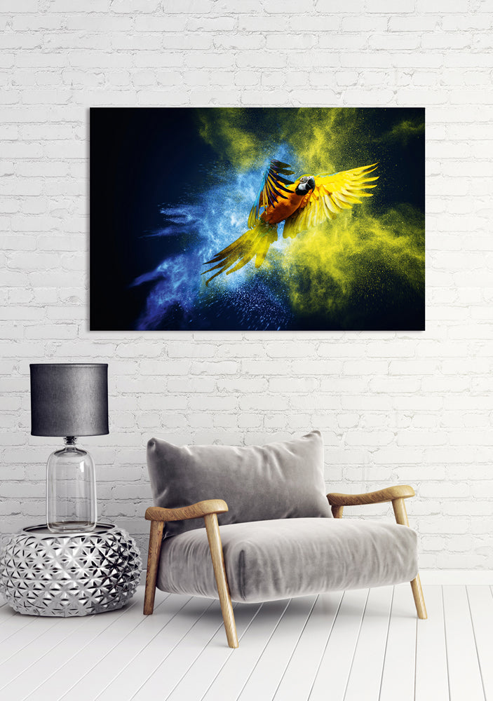 Acrylglasbild Papagei in blau und gelb