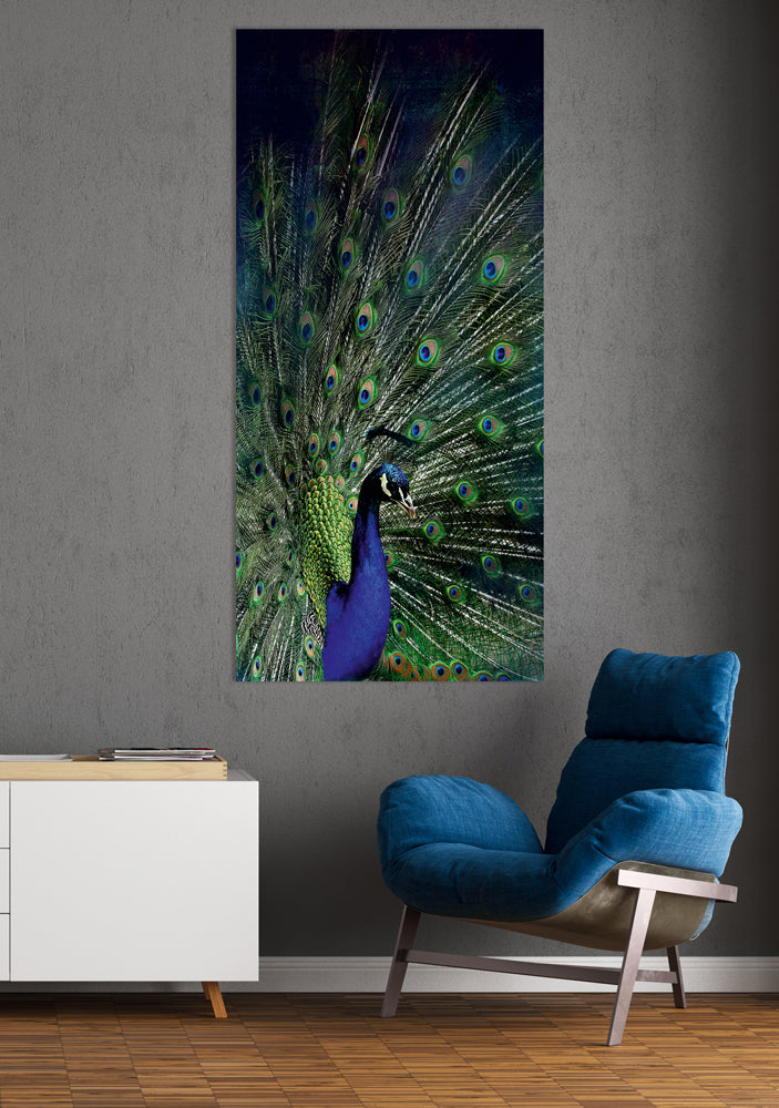 Acrylglasbild Majestätischer Pfau