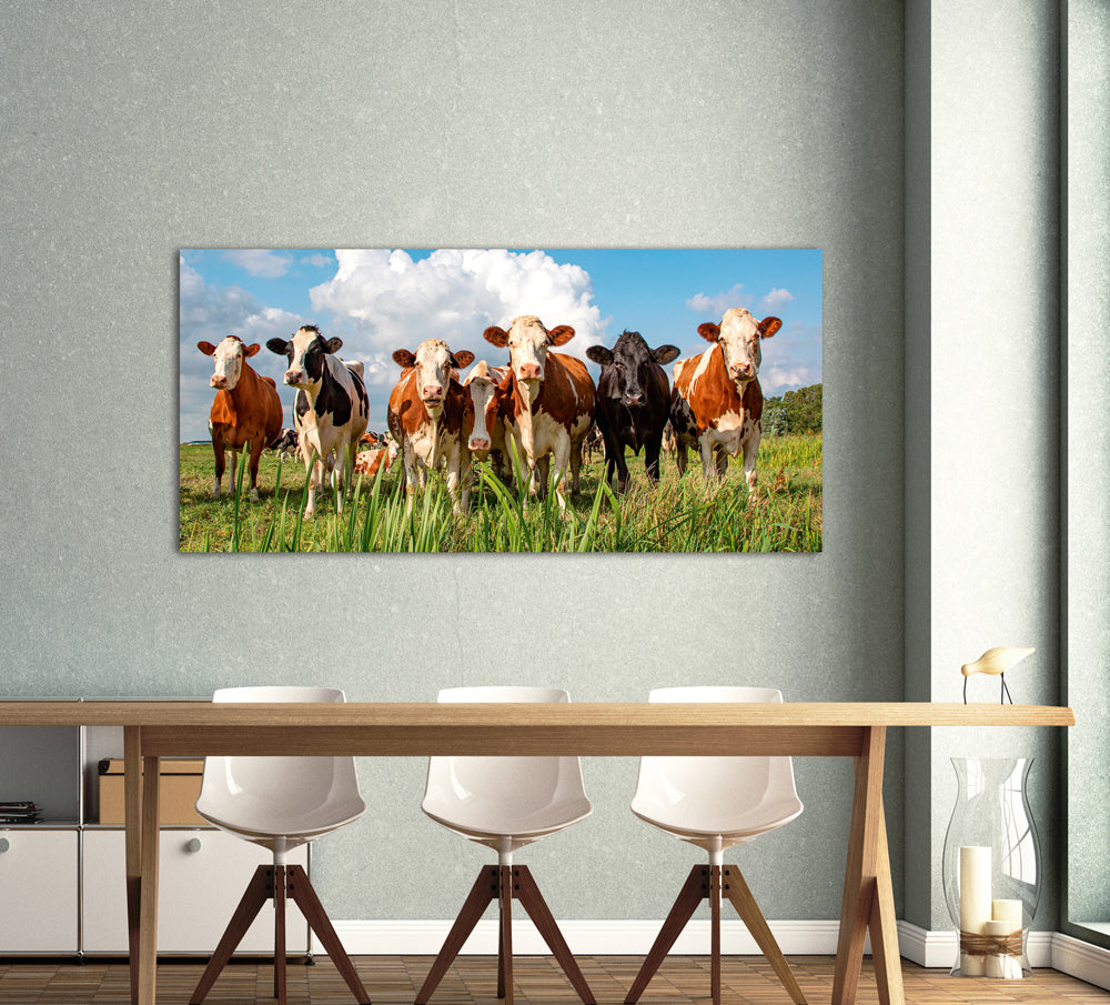 Acrylglasbild Milky Way