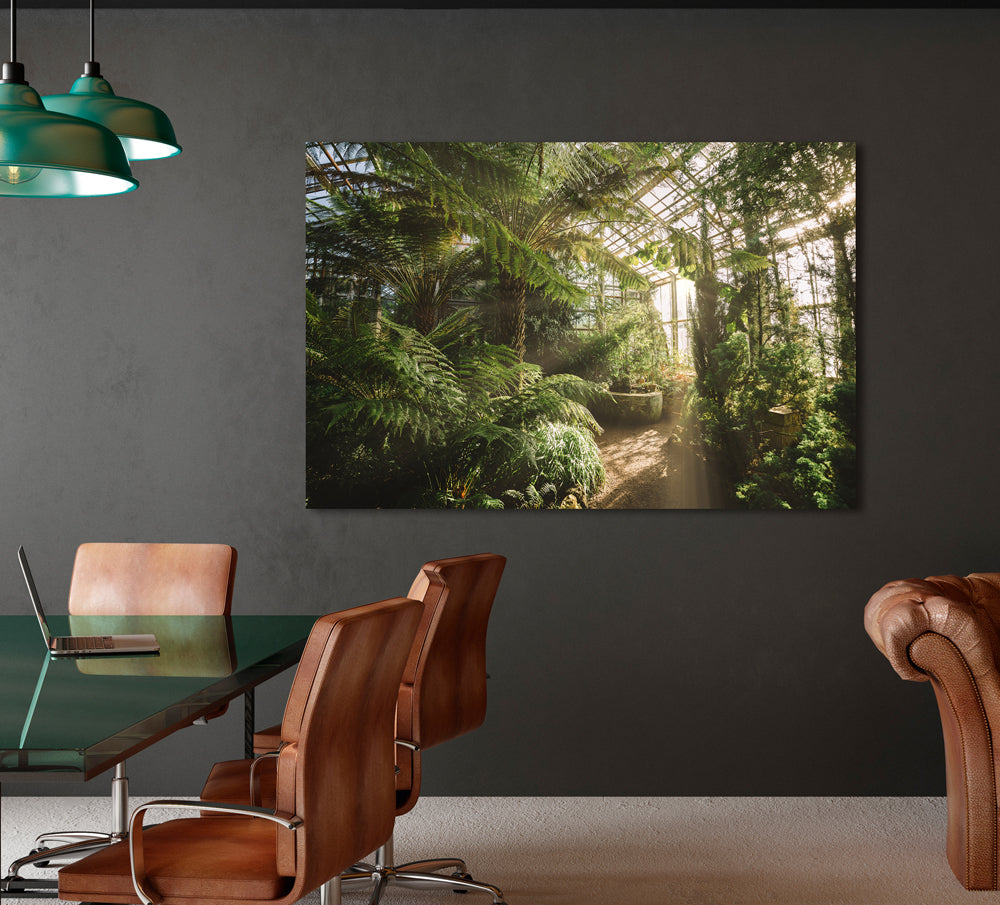 Acrylglasbild Gewächshaus mit Lichtreflexen