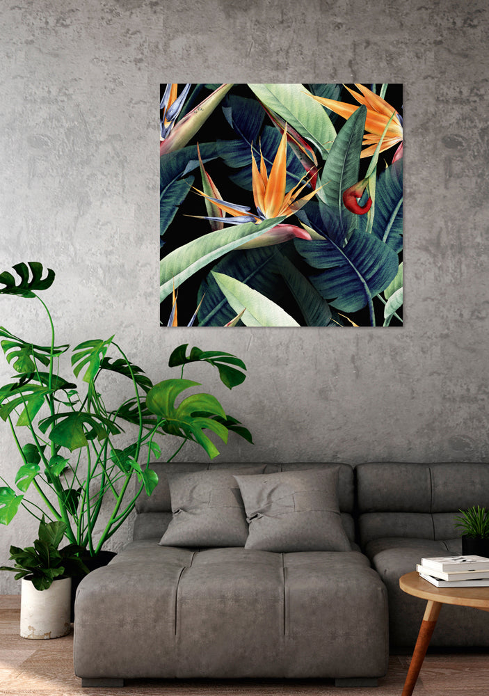 Acrylglasbild Farbenprächtige Strelitzien