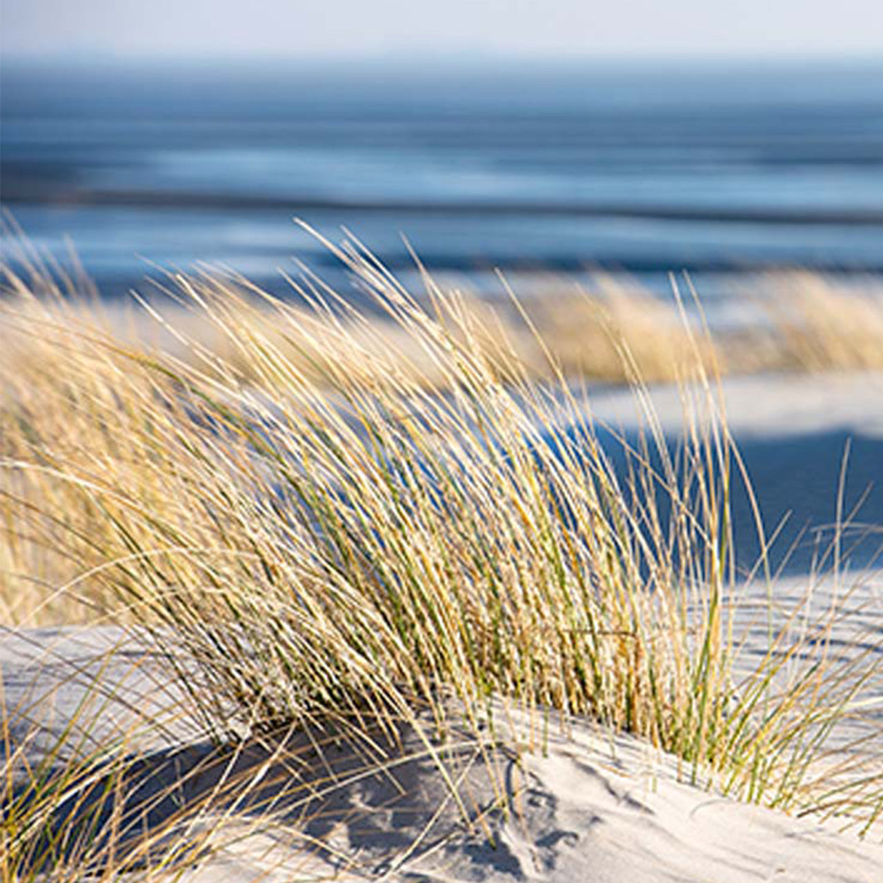 acrylic glass picture Time Out on the Beach