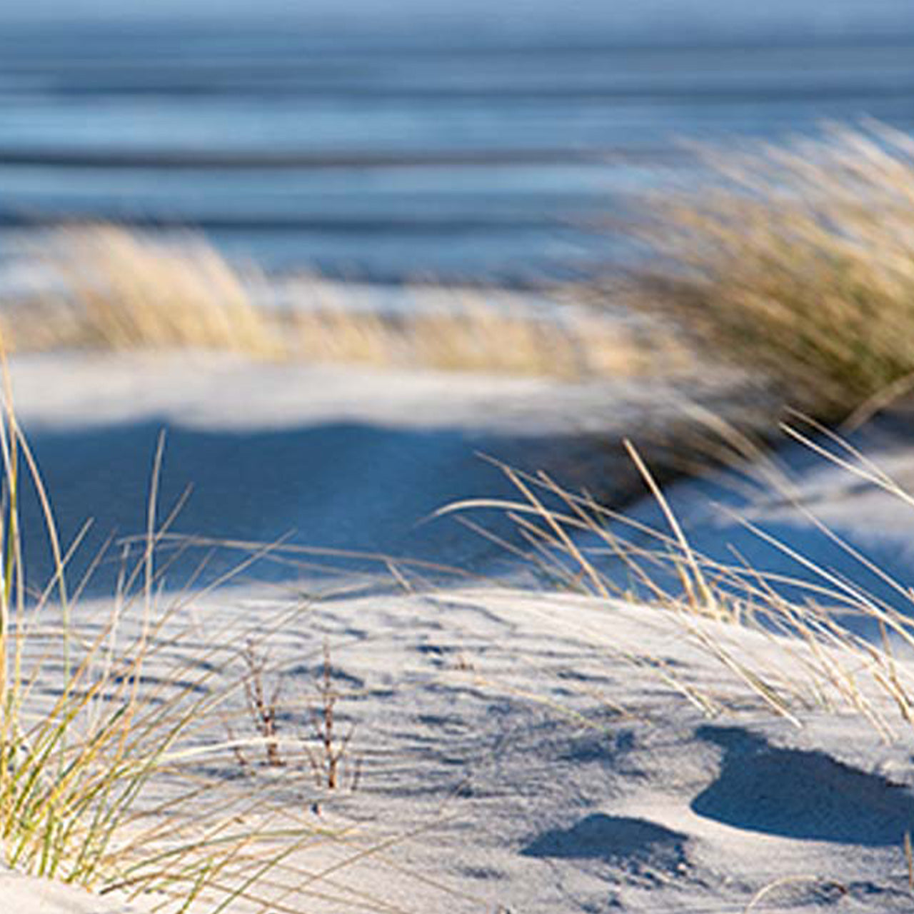 acrylic glass picture Time Out on the Beach