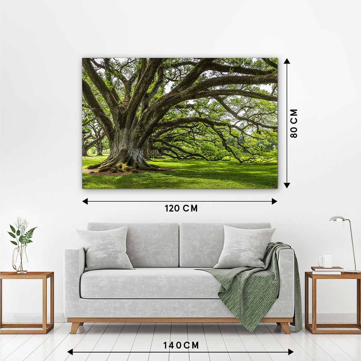 Acrylglasbild Baum der Ewigkeit