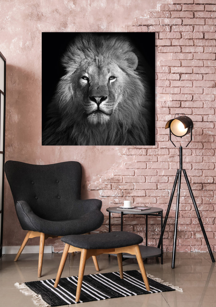 Acrylglasbild König der Löwen