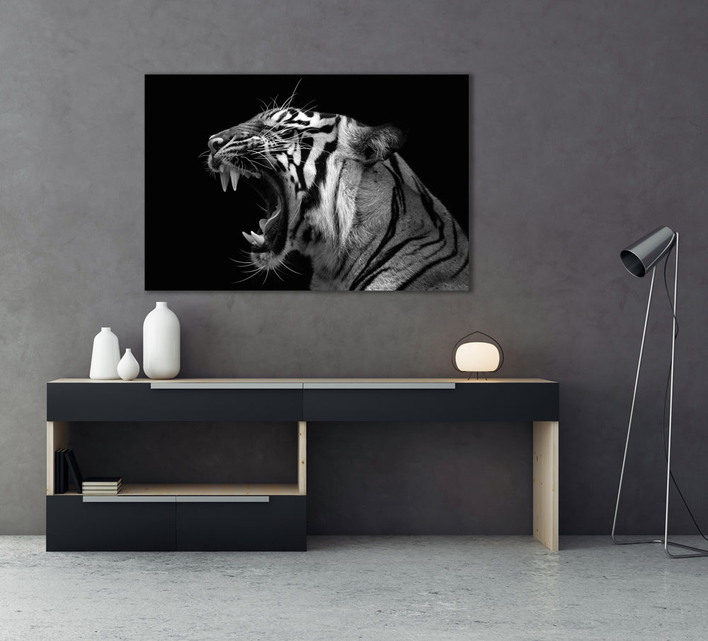 Acrylglasbild Fauchender Tiger