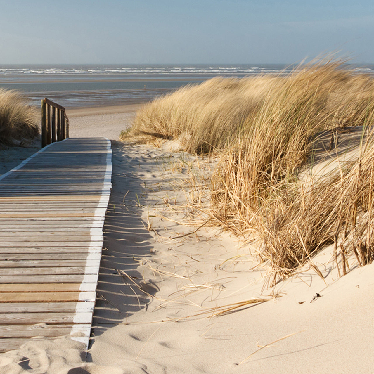 Canvas Print Holzweg zum Meer 1