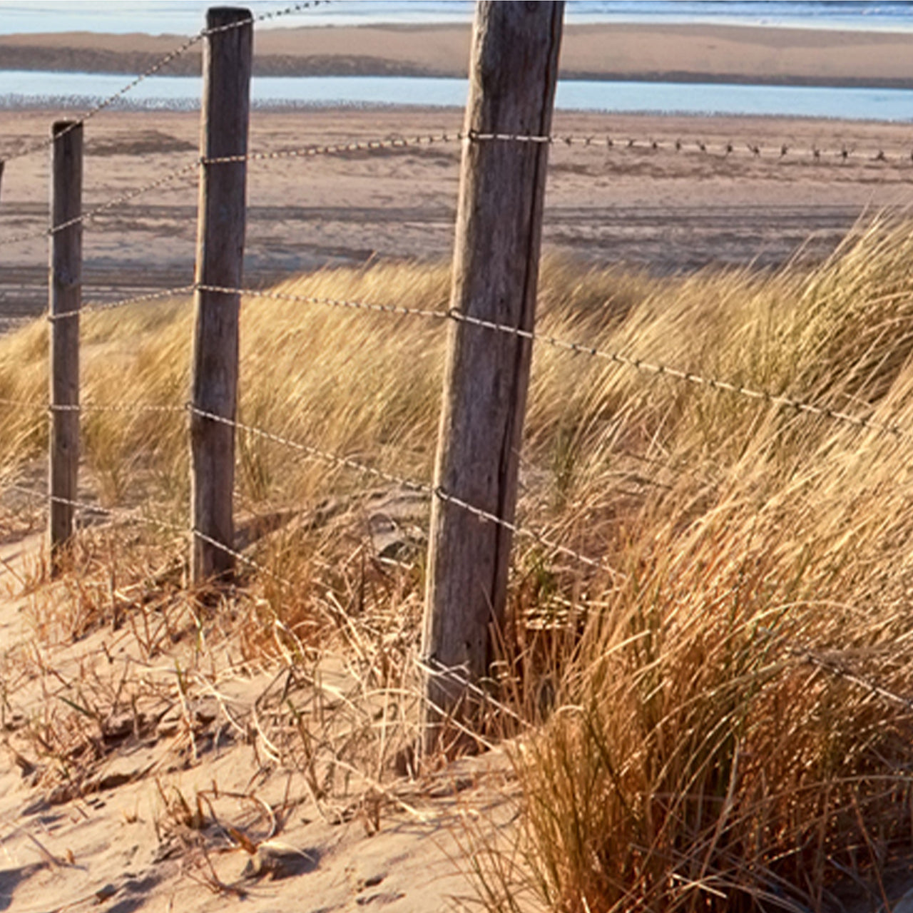 Canvas Print Sandweg zum Strand