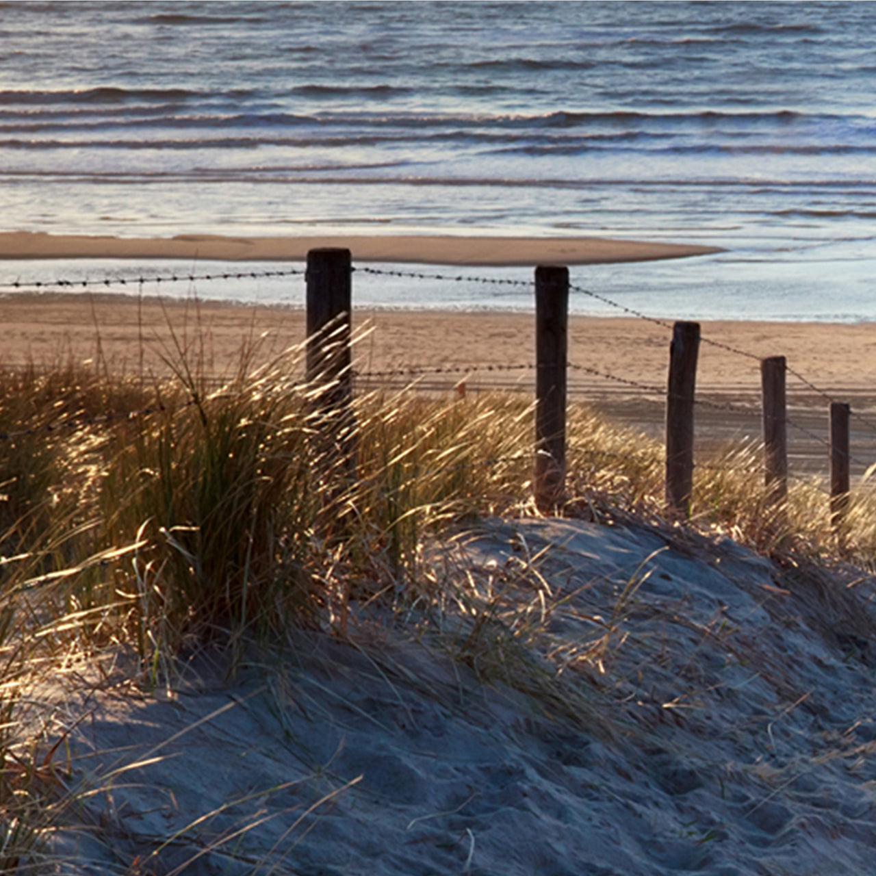 Canvas Print Sandweg zum Strand
