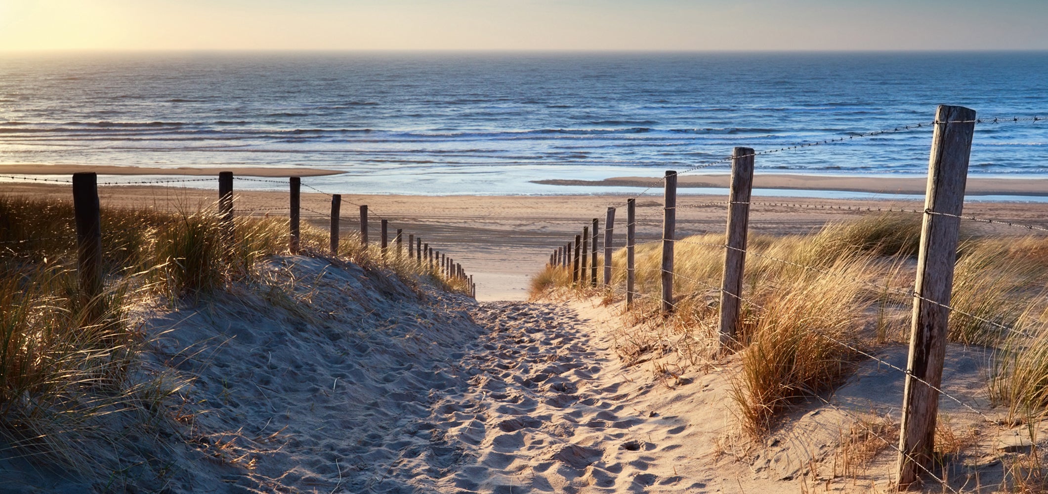 Canvas Print Sandweg zum Meer