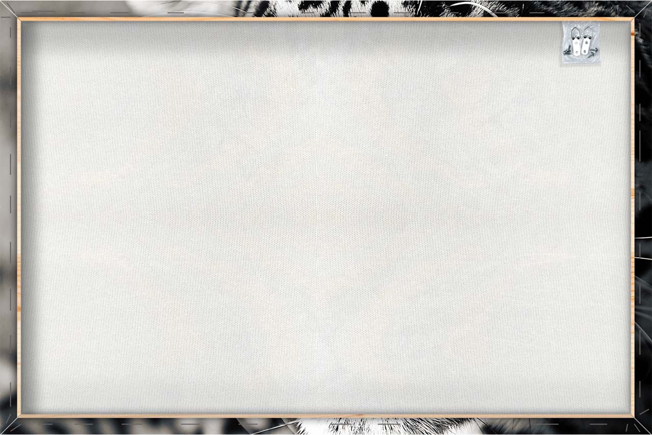 Canvas Print Leopard