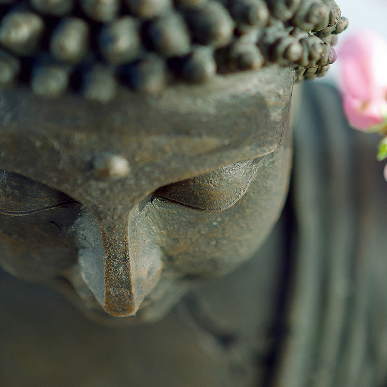 Canvas Print Buddha