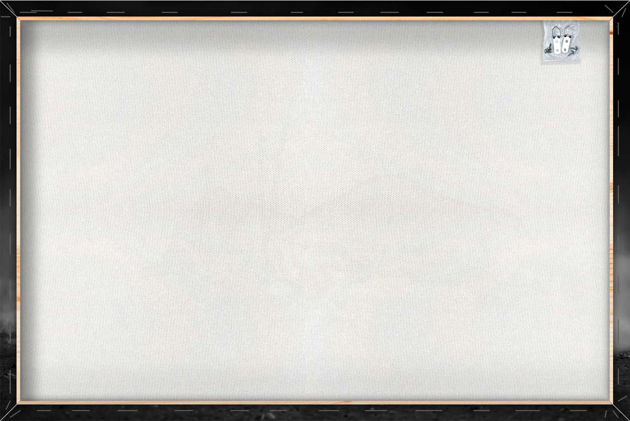 Canvas Print 2 kämpfende Oryx