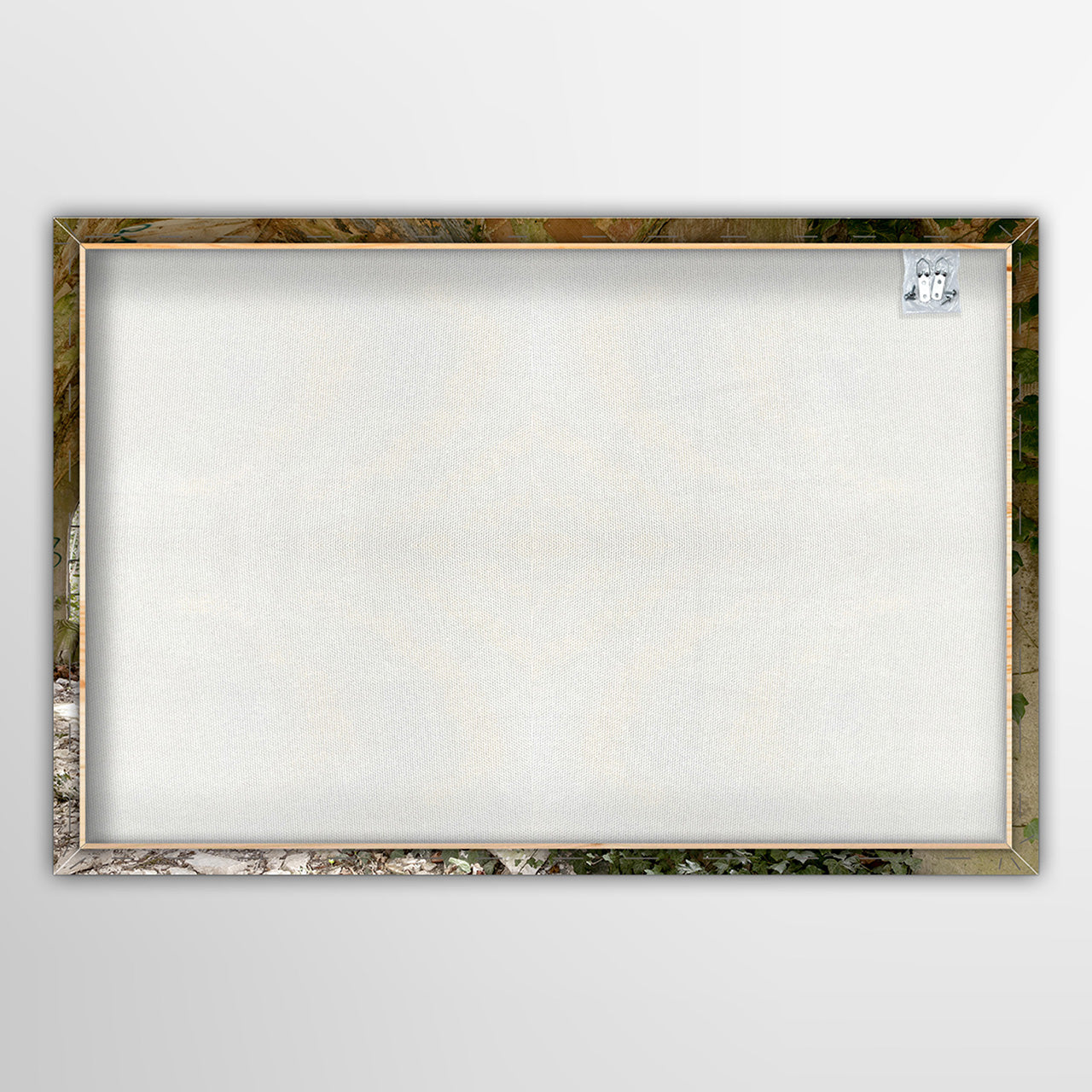 Canvas Print Überwucherter verlassener Flur