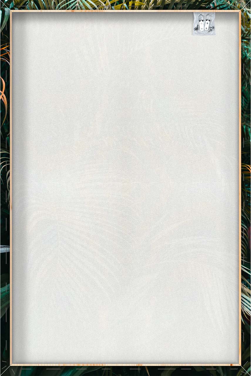 Impression sur toile Plantes vertes